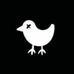 Bad Birdie