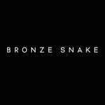 Bronze Snake Shop